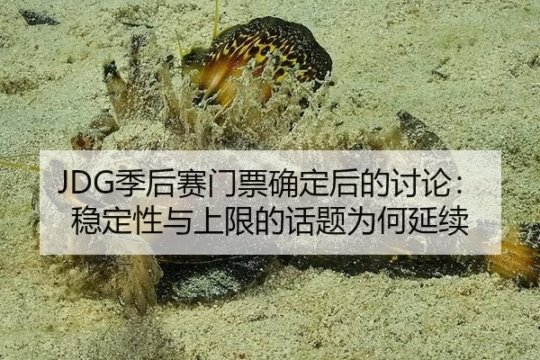 JDG季后赛门票确定后的讨论：稳定性与上限的话题为何延续